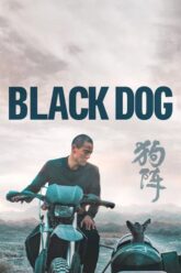 Black Dog สี่ขาหัวใจไม่ดำ 2024