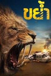 Prey ขย้ำ 2024