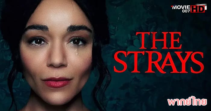 ดูหนัง The Strays คนหลงทาง 2023